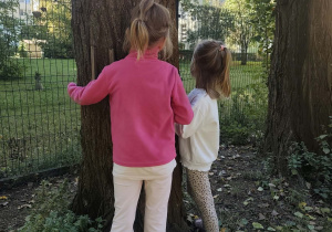 Dziewczynki przytulają sie do drzewa.