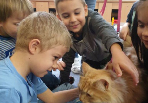 Chłopcy głąszczą kota, który odwiedził nasze przedszkole.