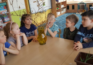 Dzieci siedzą wspólnie przy stole. Oglądają przez szkło powiększające pączki liści na gałązkach różnych krzewów wstawionych do wazonu z wodą.