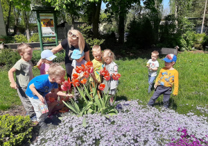 Grupa dzieci obserwuje kwiaty w ogrodzie.