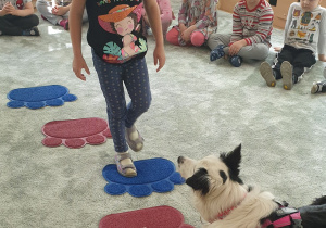Dziewczynka idzie po dywanie w kierunku psa.