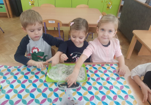 Trójka dzieci sieje nasiona brukwi.