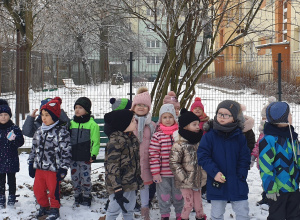 Projekt "Świąteczny kalendarz przyrodnika" c.d