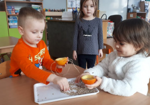 Dzieci sypią pokarm do wykonanego przez nich karmnika.